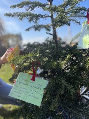 drasi 21